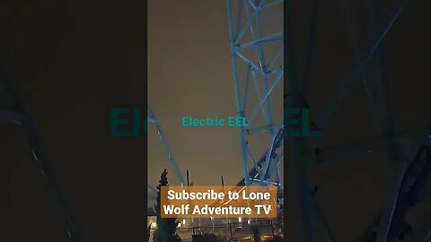 Electric Eel