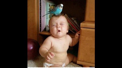 Funniest babies trouble Maker #1/fun and fails video