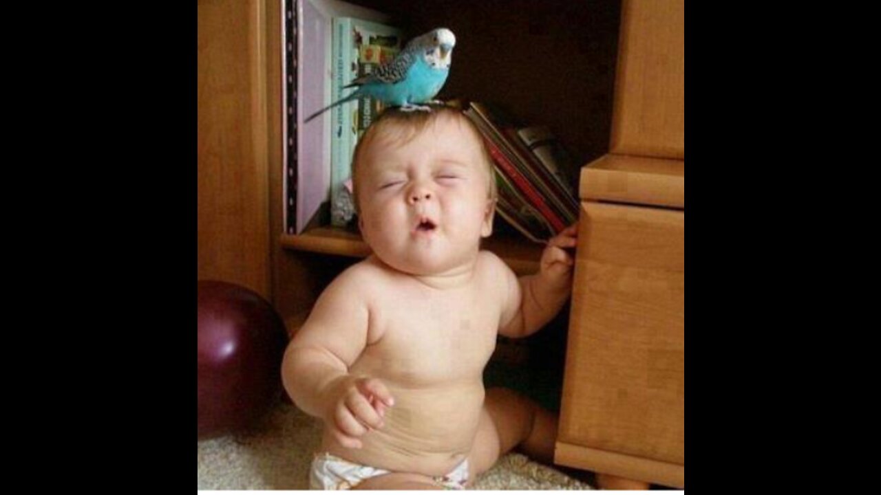 Funniest babies trouble Maker #1/fun and fails video