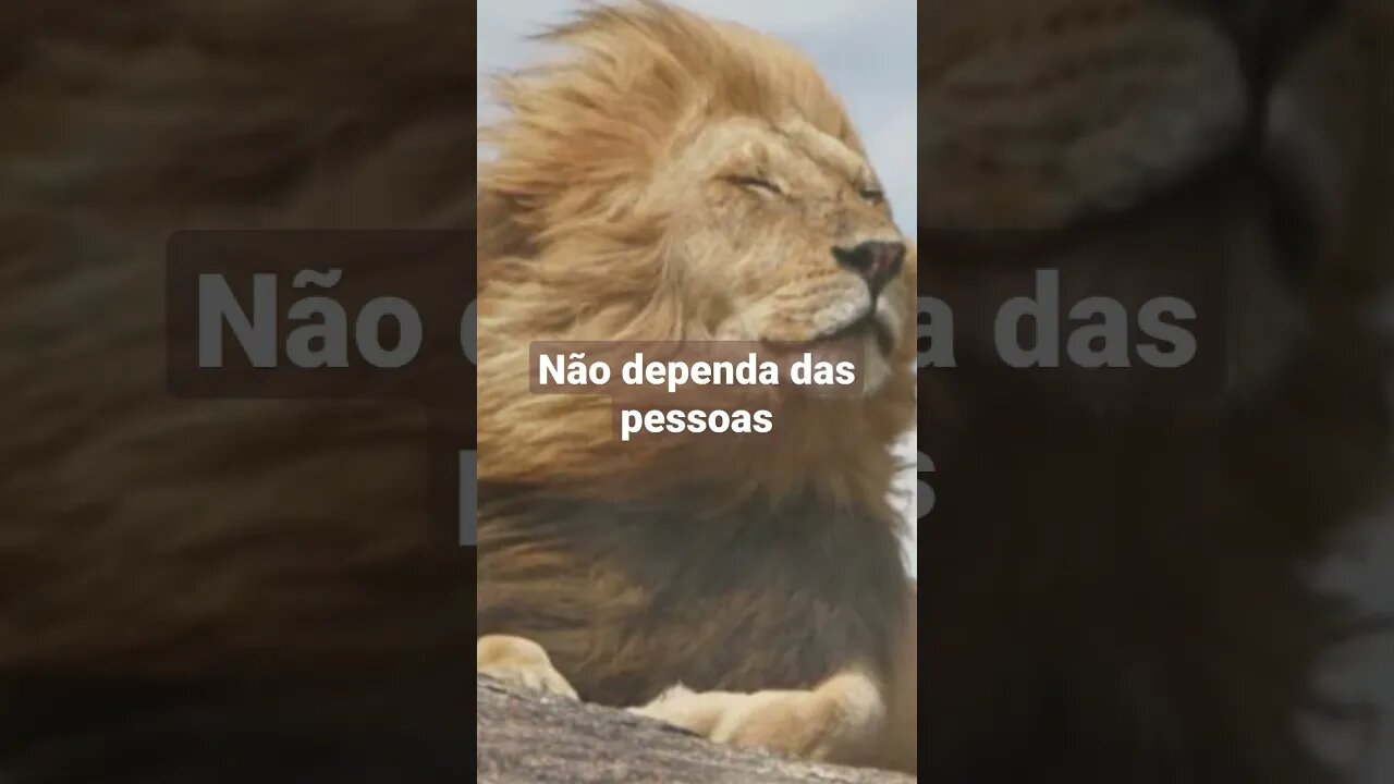 Nunca dependa das pessoas.#shorts#autoconhecimento2023 #motivation moti
