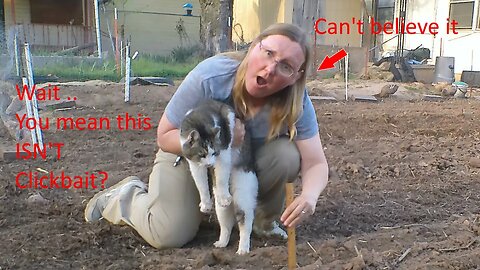 Use This Trick to DOUBLE Your Topsoil Overnight!