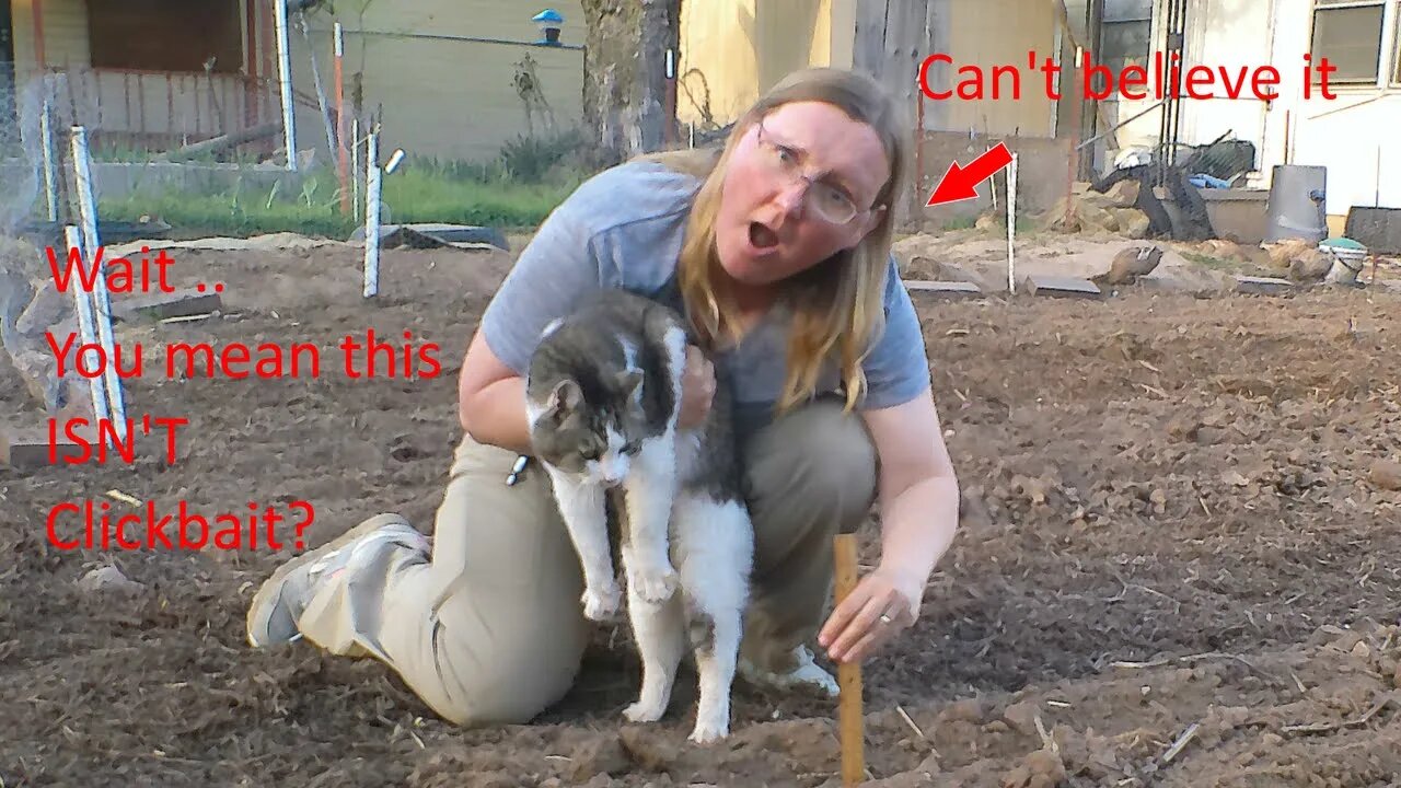 Use This Trick to DOUBLE Your Topsoil Overnight!