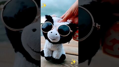 Summer Dayz #beanieboos 💙🕶️