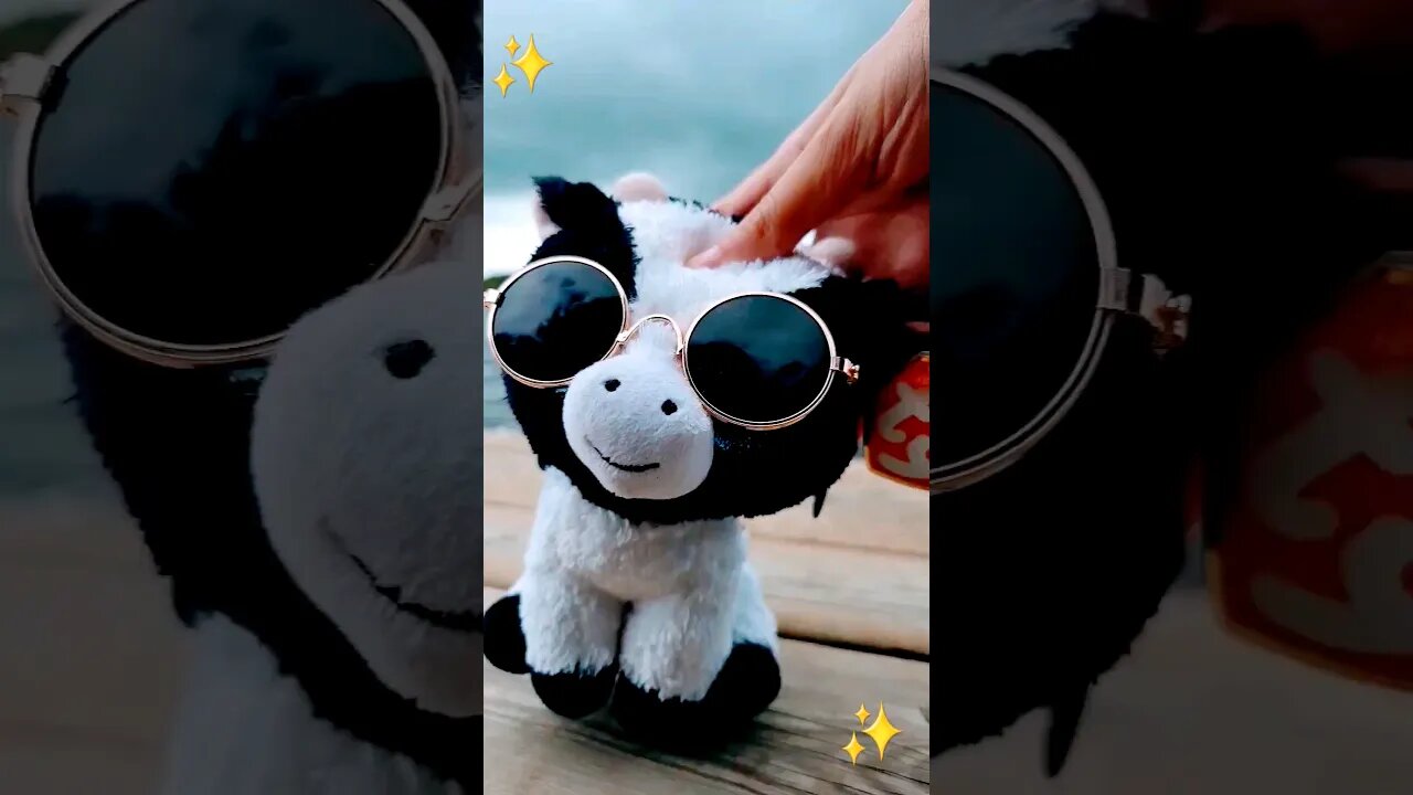 Summer Dayz #beanieboos 💙🕶️