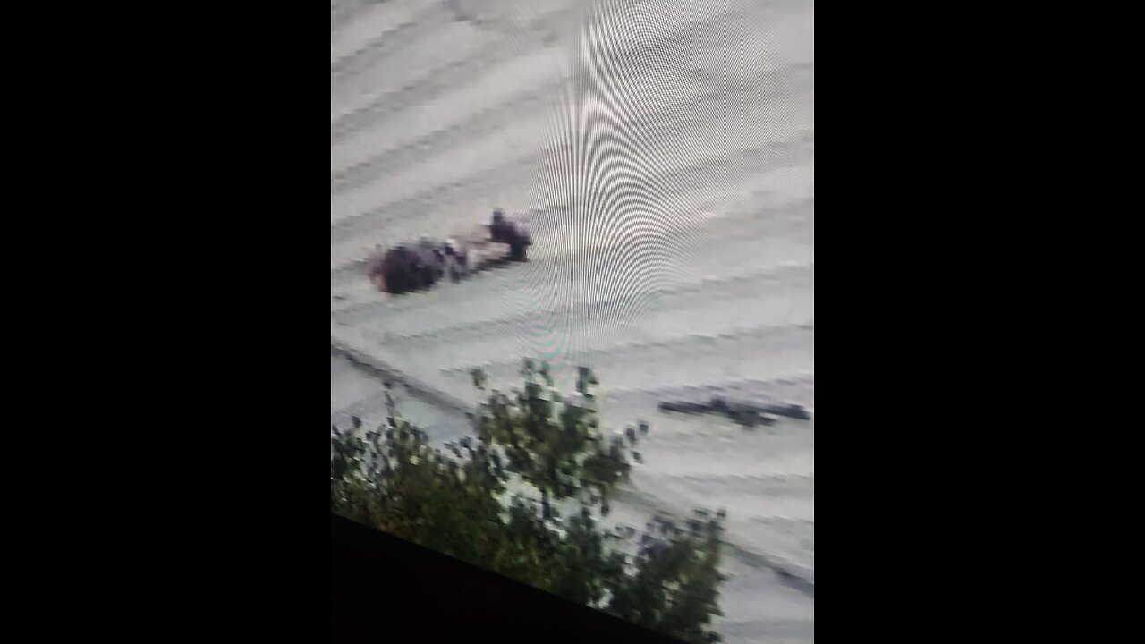 Assassins Allowed Clear Paths to Murder Presidents Reagan & Trump