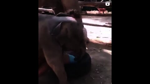 I want to play!Хочу играть!