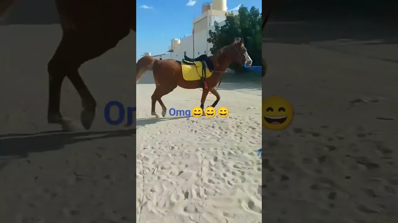 omg😃😃😃#horse #viralvideo #shorts #shot #shotesvideo #shortsyoutube