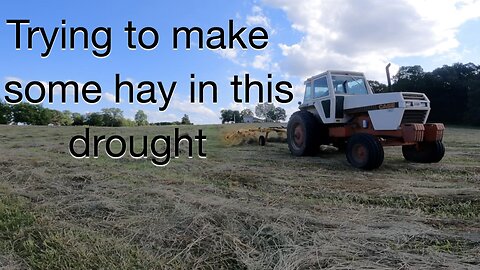 Trying to make some hay in this drought