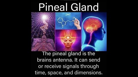 (PART:1) FLIGHT OF PERFECTION THROUGH VORTEX POSSESSION (SATURN, EARTH &, THE PINEAL GLAND) - King Street News