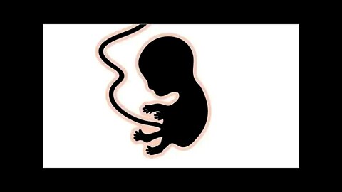 What does Fandar think about abortion?