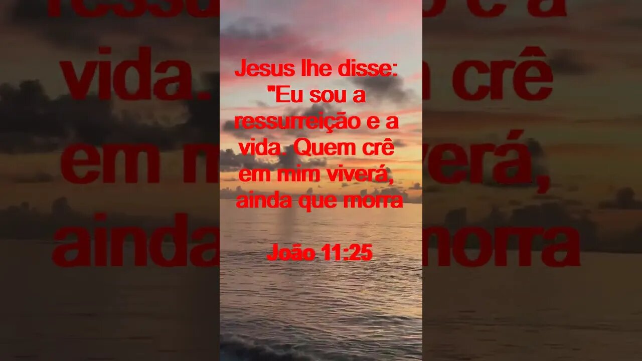 Verso Do Dia | Leitura Inspiradora Para Começar Seu Dia. | 26