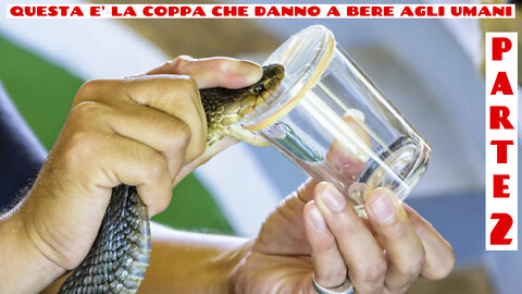 2022.04.26-Eliseo.Bonanno-COME I SERPENTI UCCIDONO GLI UMANI - PARTE 2 DI 2