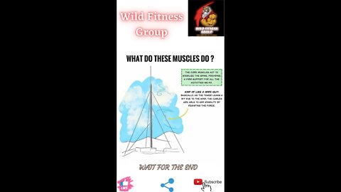 🔥What do these muscles do🔥#shorts🔥#viralshorts🔥#fitnessshorts🔥#wildfitnessgroup🔥