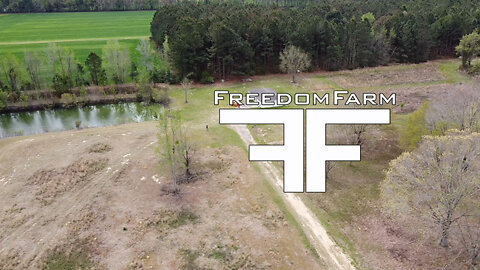 Building a Homestead from Scratch. Freedom Farm ep1
