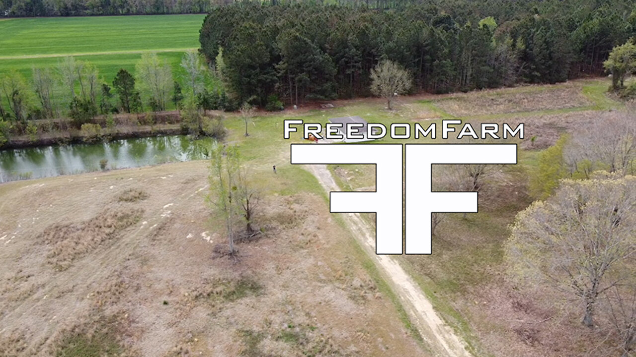 Building a Homestead from Scratch. Freedom Farm ep1
