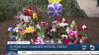 13 year-old girl charged in fatal Escondido Crash