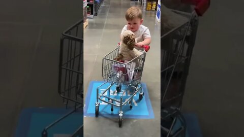 Toddler Wait Here; takes dogdog shopping