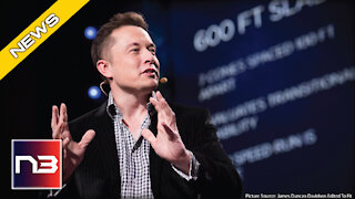 Elon Musk Trolls United Nations And Social Media Is On Fire