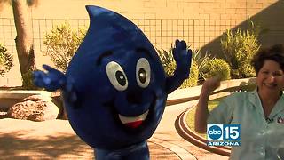 Tips to plant your winter rye grass, without overseeding