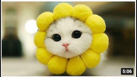 Baby Pets - Cute and Funny Pets Videos Compilation 💗