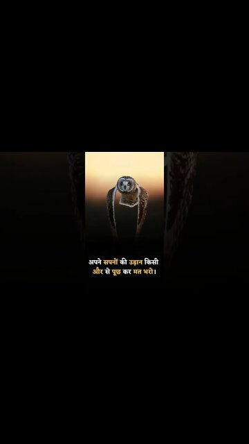 Powerful Motivational speeche motivation quotes success #mfrquotes