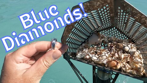 I Found a Ring LOADED With Blue Diamonds!