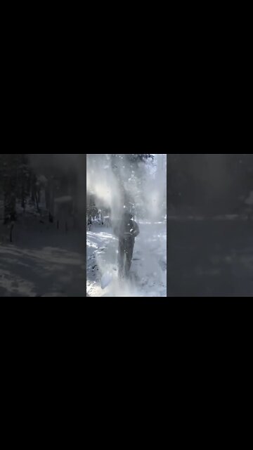 Let it snow. #snow #shorts