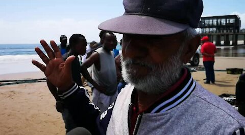 SOUTH AFRICA - Durban - Sardines being netted at Durban beachfront (Videos) (K7U)