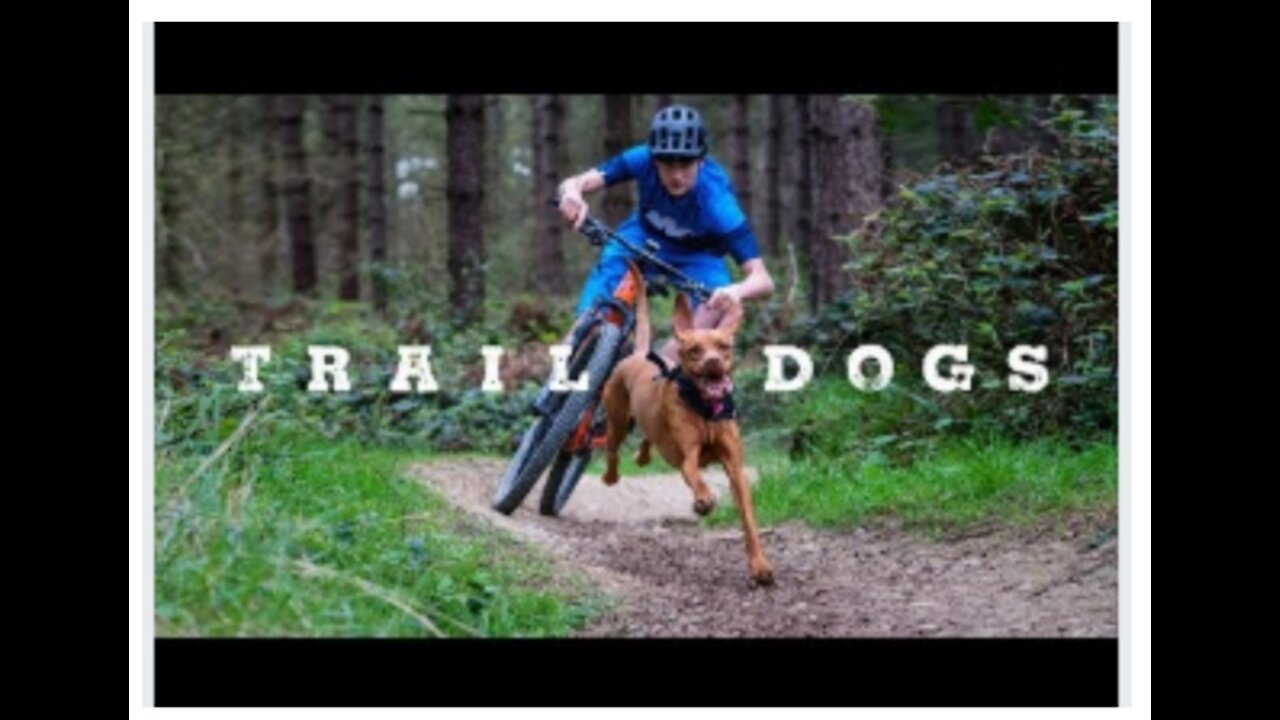 #Trail Dogs