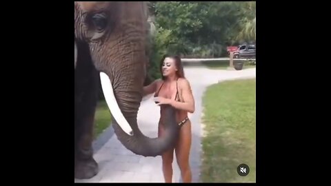 Elephant fun#playing with women#