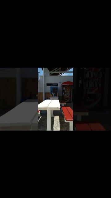 On my walk around the track today chilling with the Mascot #Shorts