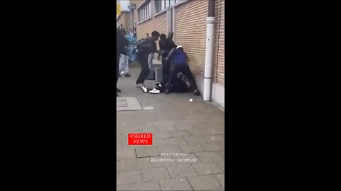 Cultural Enrichment Turns Violent in Belgium