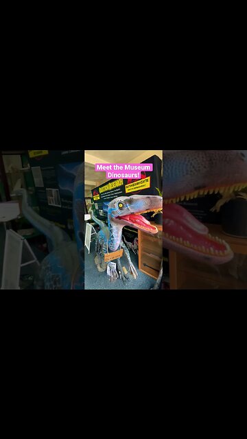 Meet the Museum Dinosaurs! #viral #dinosaur #jurassic #museum