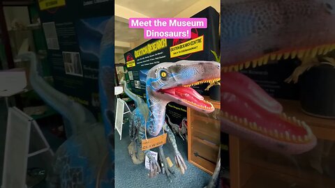 Meet the Museum Dinosaurs! #viral #dinosaur #jurassic #museum