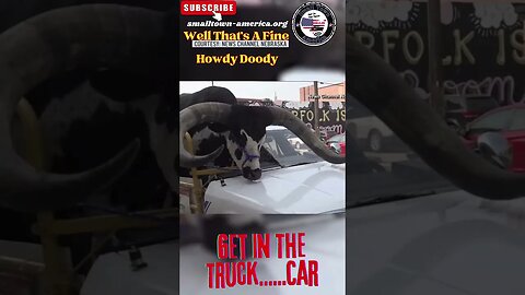 That's A Fine Howdy Doody Get In The Truck ......Car #bullincar #DrivingBull