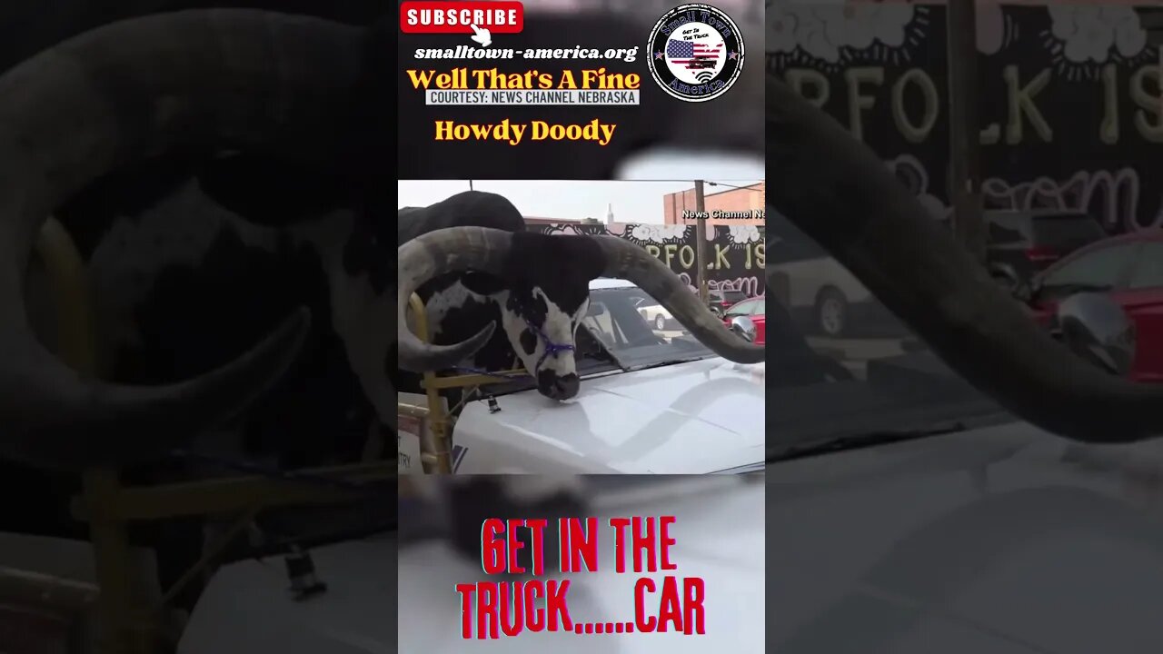 That's A Fine Howdy Doody Get In The Truck ......Car #bullincar #DrivingBull
