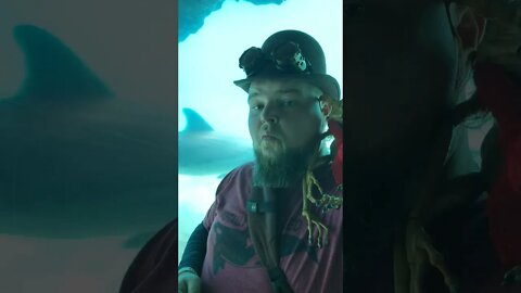 Things Always Seem So Nice Under The Sea