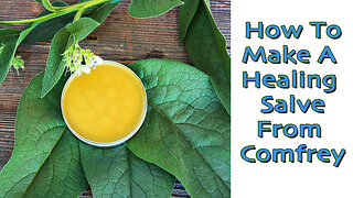 How To Make An Herbal Salve - Comfrey | Amazing Healing Power