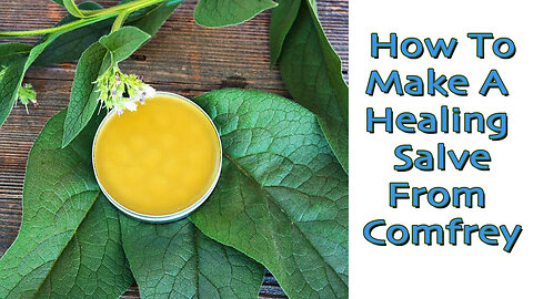 How To Make An Herbal Salve - Comfrey | Amazing Healing Power