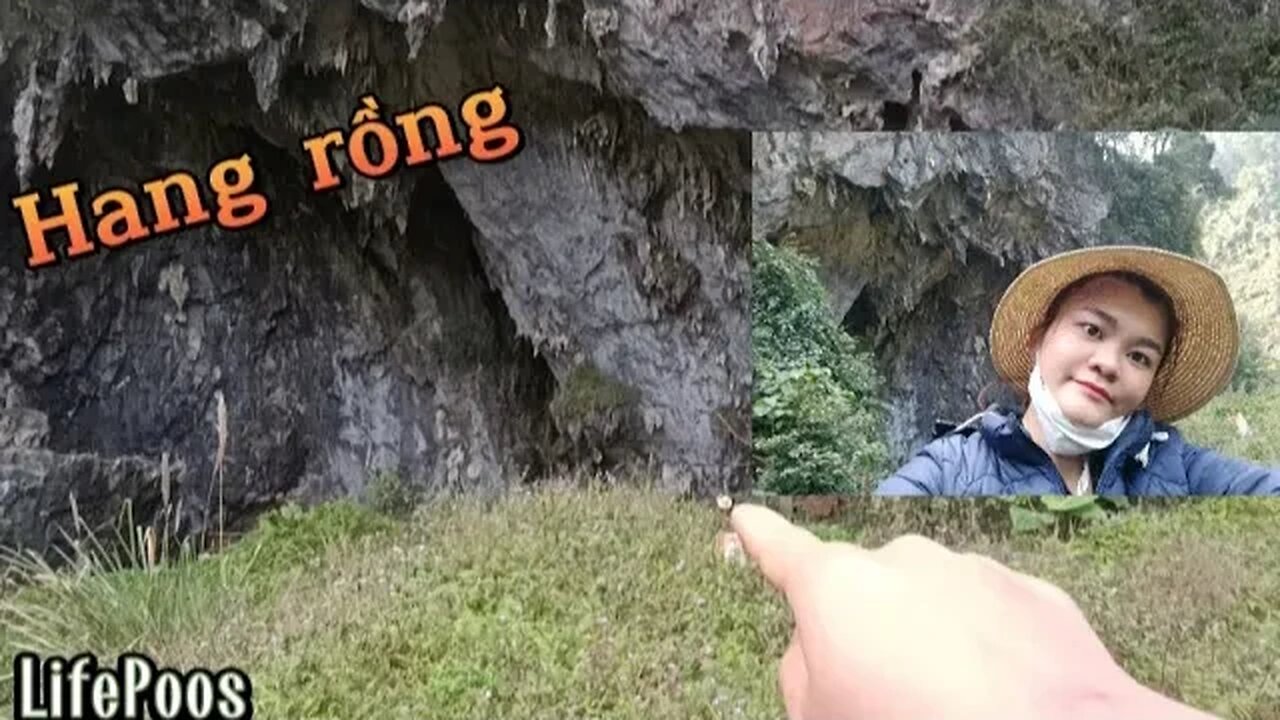 Leo núi đá vào rừng nhặt rau vô tình gặp hang động rồng ngày xưa đã từng ở _LifePoos