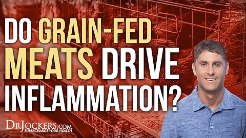 Do Grain Fed Meats Drive Inflammation?