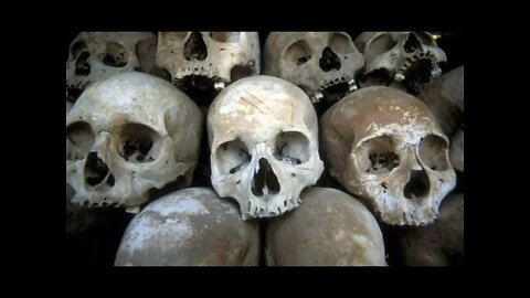 Tuesdays with Vic Project Human Extinction