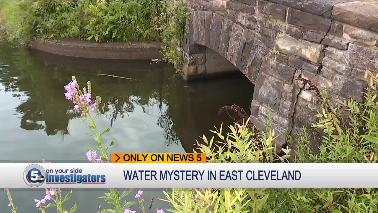 East Cleveland residents concerned about fish kill at Forest Hill Park pond