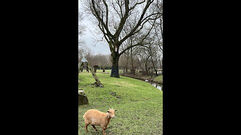 2-2-24 Farmstead visit