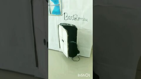 Gato Bartolomeu Tunico alegre final de semana chegou. Gato brincando na sua casa😺😺