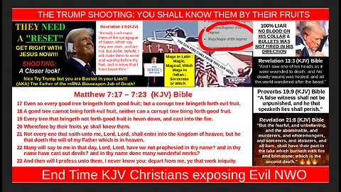 THE TRUMP SHOOTING: YOU SHALL KNOW THEM BY THEIR FRUITS