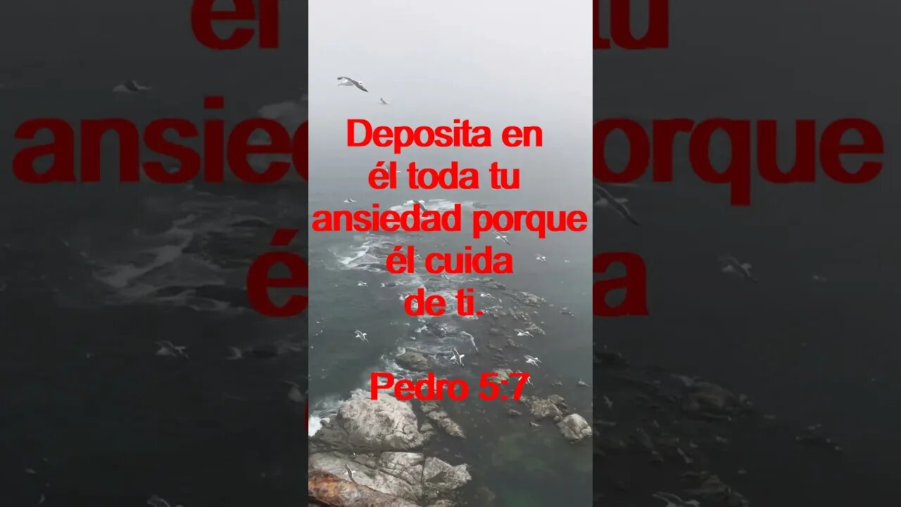 Verso Del Día | Lectura Inspiradora Para Empezar El Día. | 19