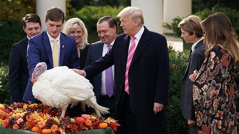 When Did Presidential Turkey Pardons Start?