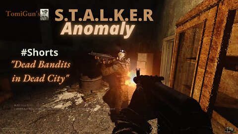 Dead Bandits in Dead City - S.T.A.L.K.E.R Anomaly Short Scene
