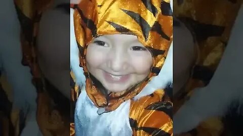 Tasha the Tiger